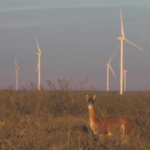 Plásticas para Protección del Frío o el Viento – Persianas Bellavista